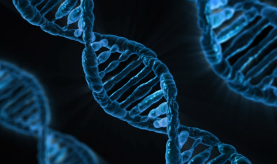 What is Spectroscopy instrument and it's working